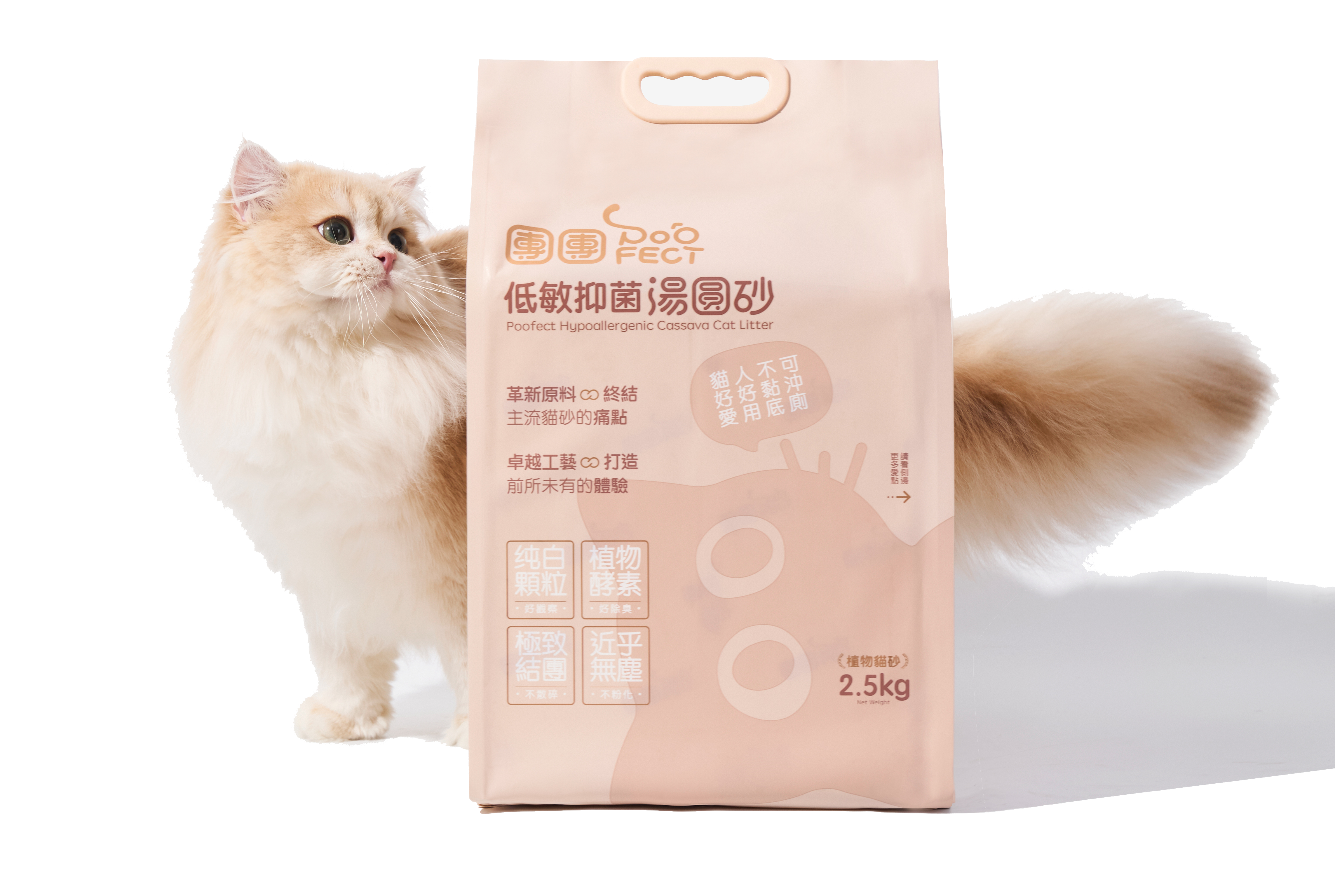  | Poofect 團團 X 低敏抑菌木薯砂