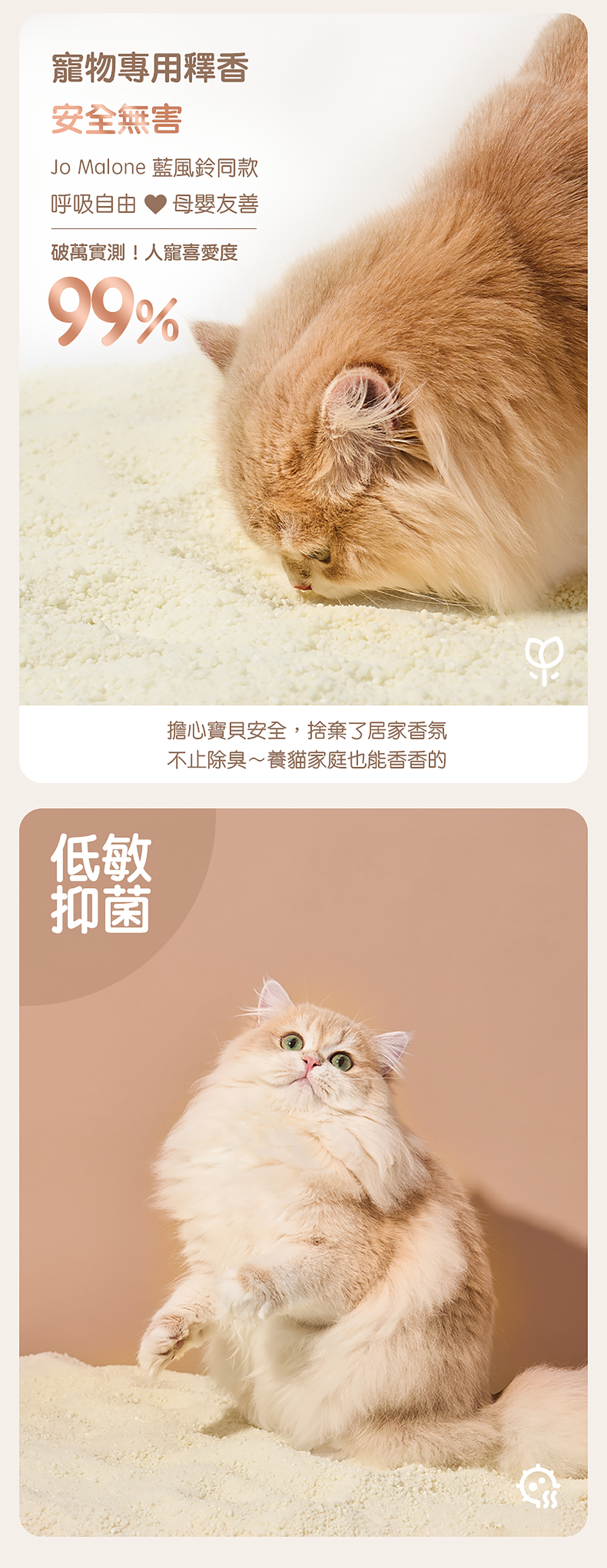 詳情圖片5