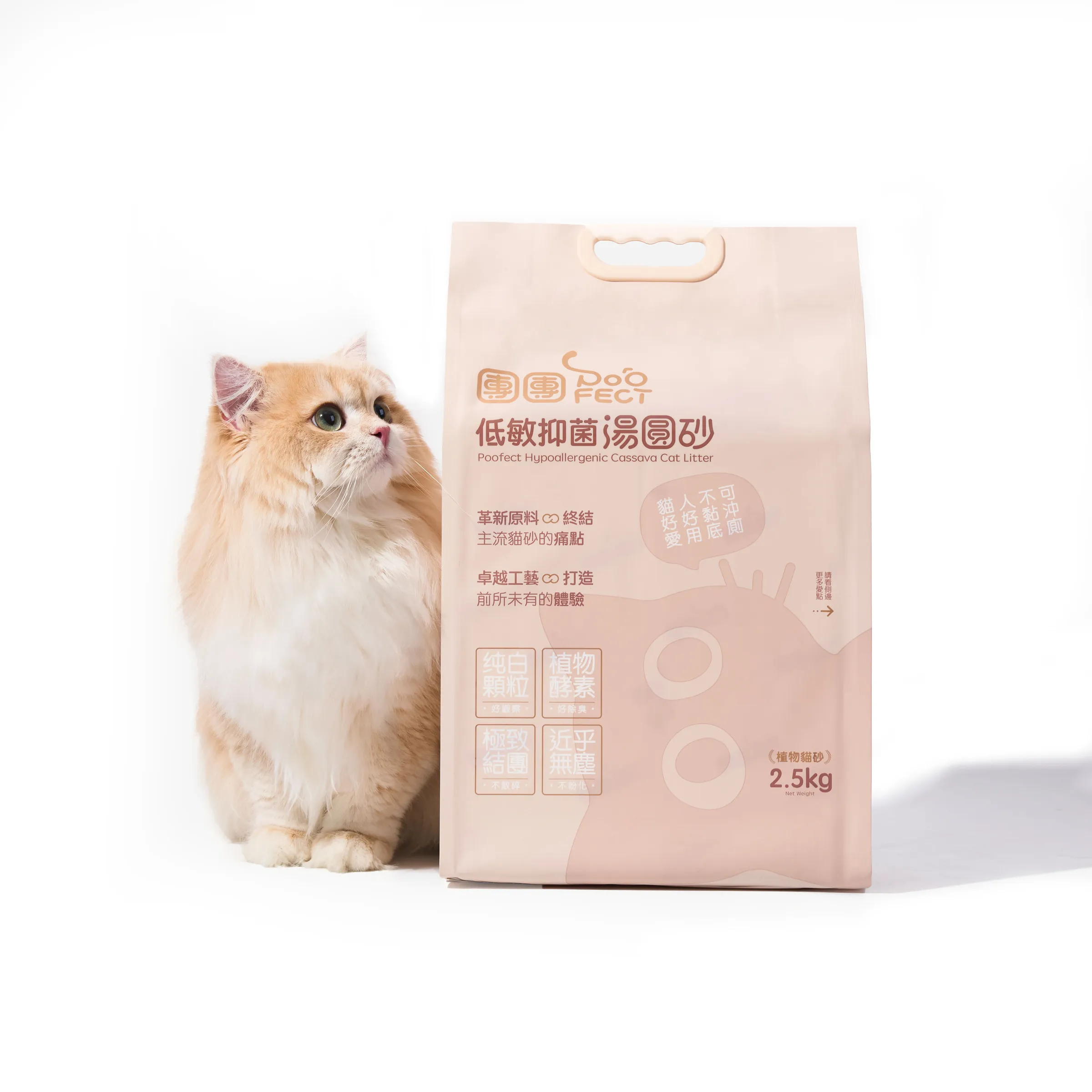 111副本