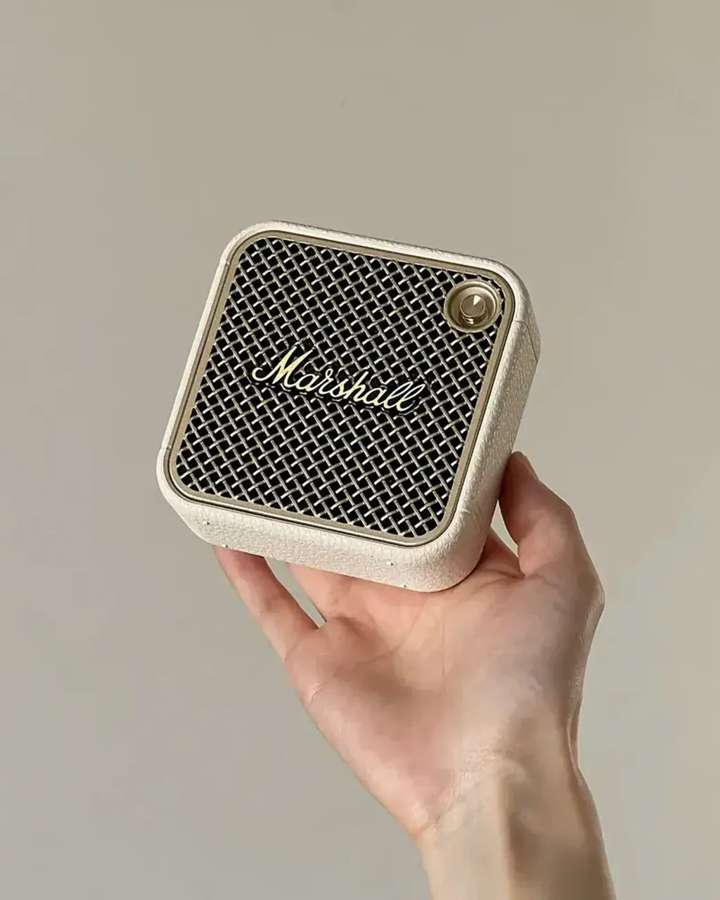 800x