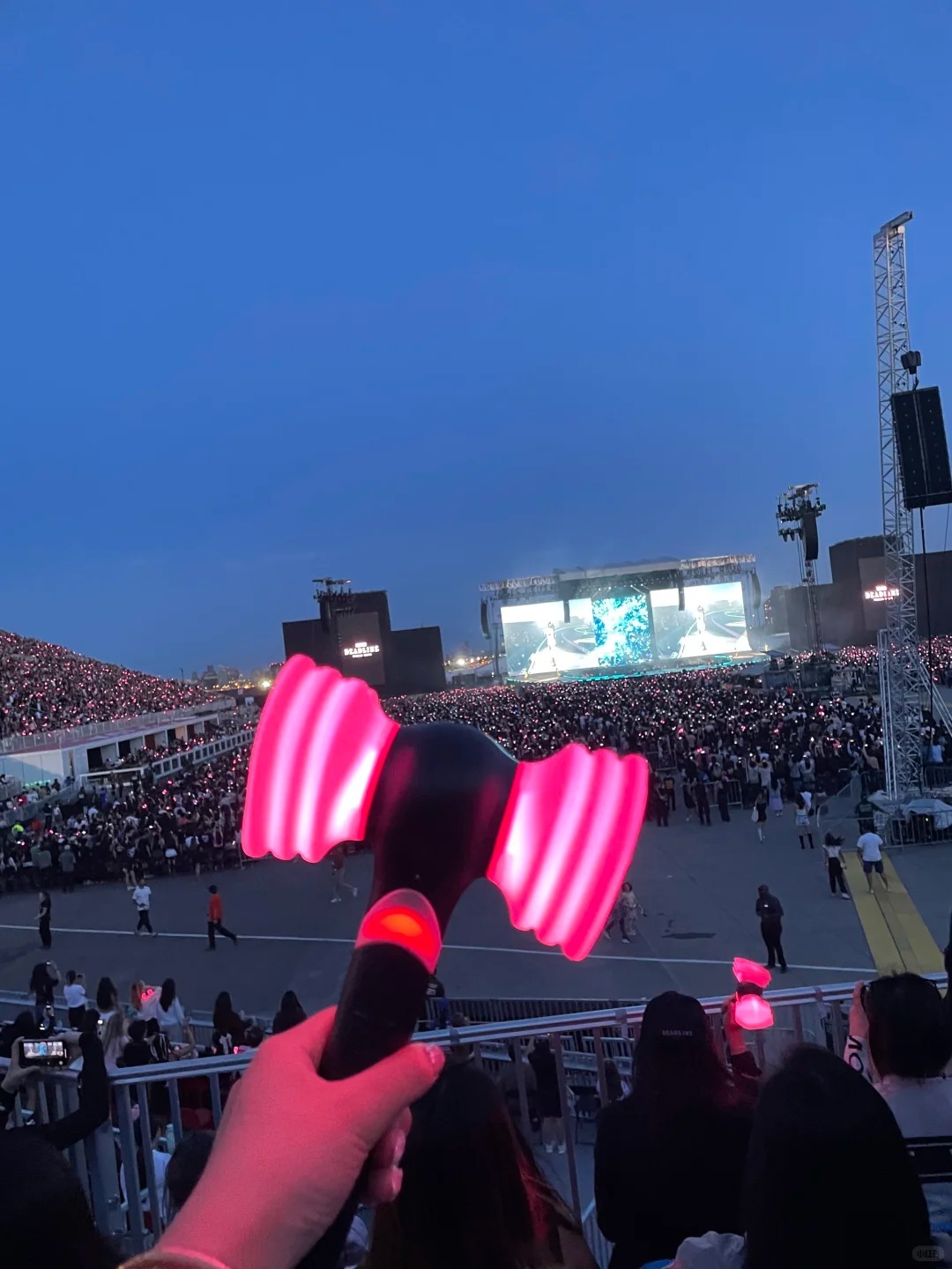 blackpink 特别版粉锤子_1_有梦想的小胖纸_来自小红书网页版