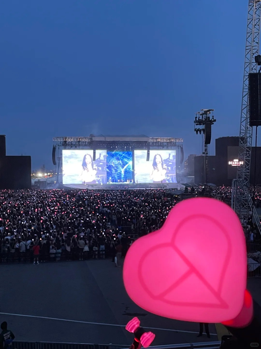 blackpink 特别版粉锤子_2_有梦想的小胖纸_来自小红书网页版