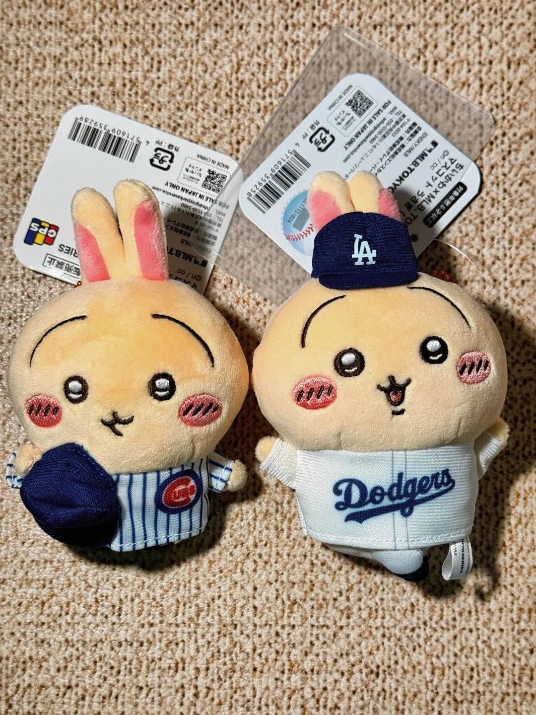 chiikawa的真假千金文…_1_ZL_来自小红书网页版