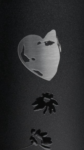 image_62D0AF83-F381-4643-A8E5-8021312FF287_1757770533