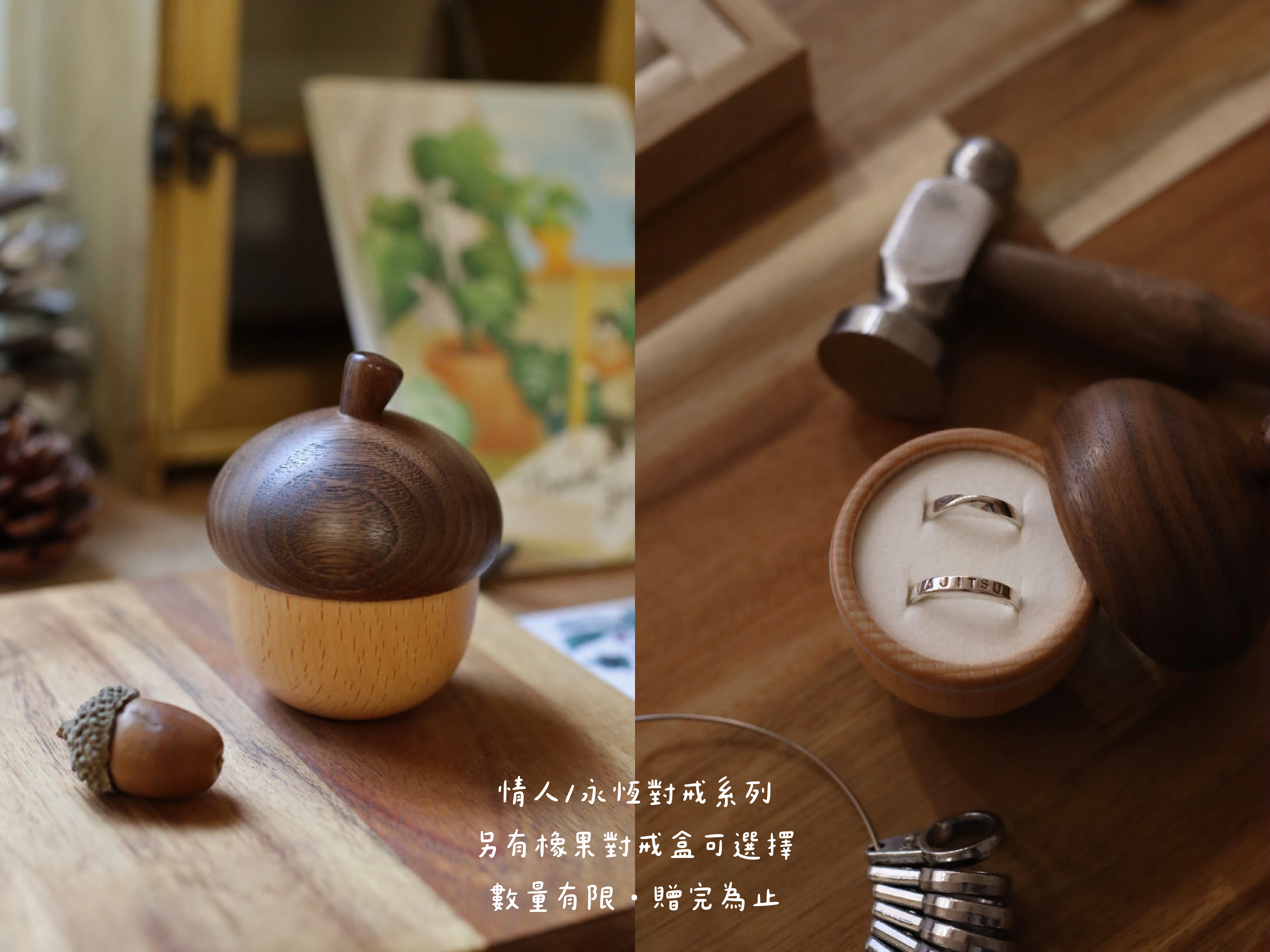 橡果
