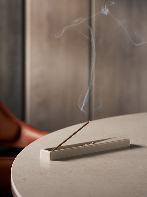 20241108 tormoor-0356