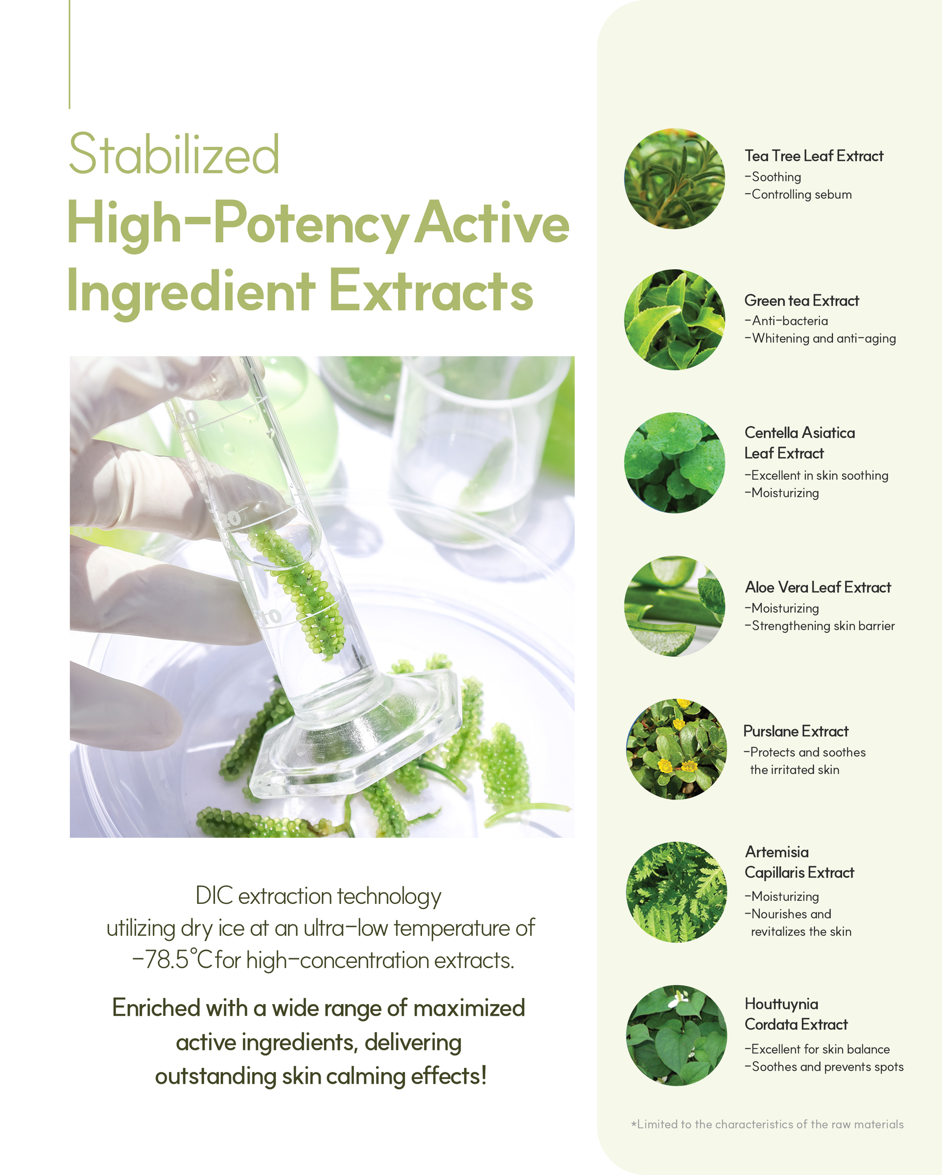 미스트_인스타사이징_영문2_14