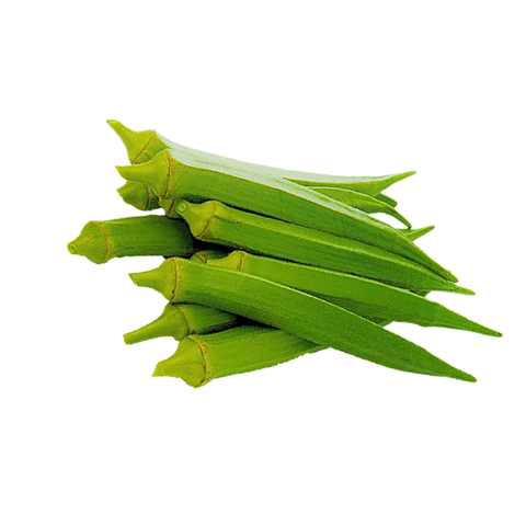 VE-H002