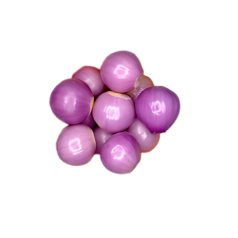 VE-C005