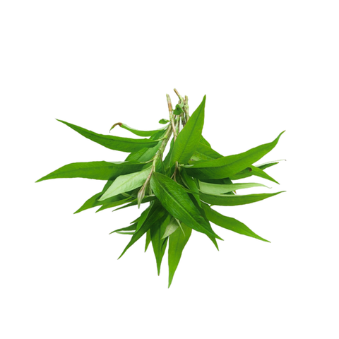 VE-C019