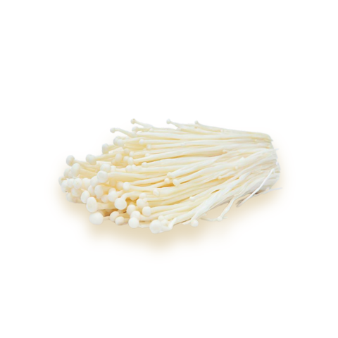 VE-C024