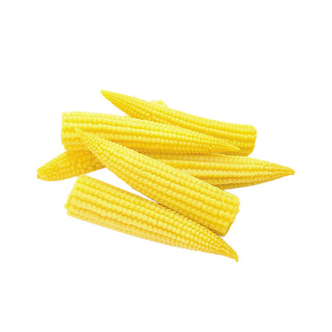 VE-C028