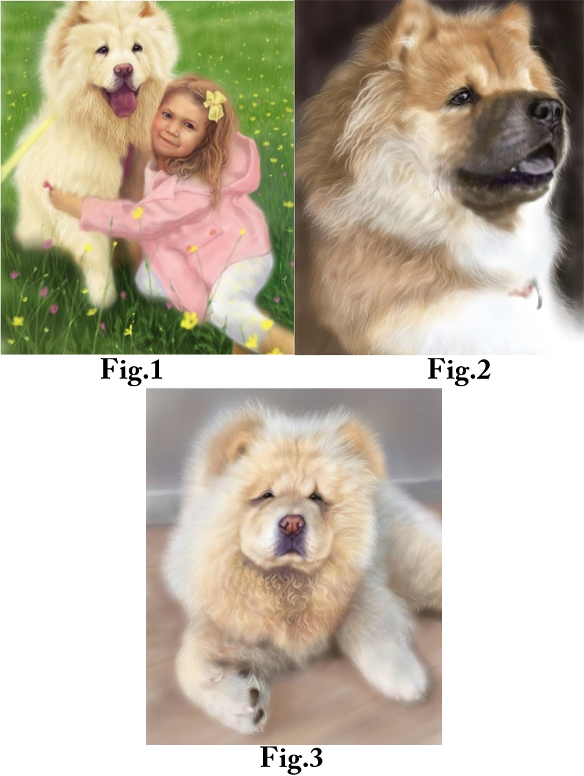 雜誌_2_內容