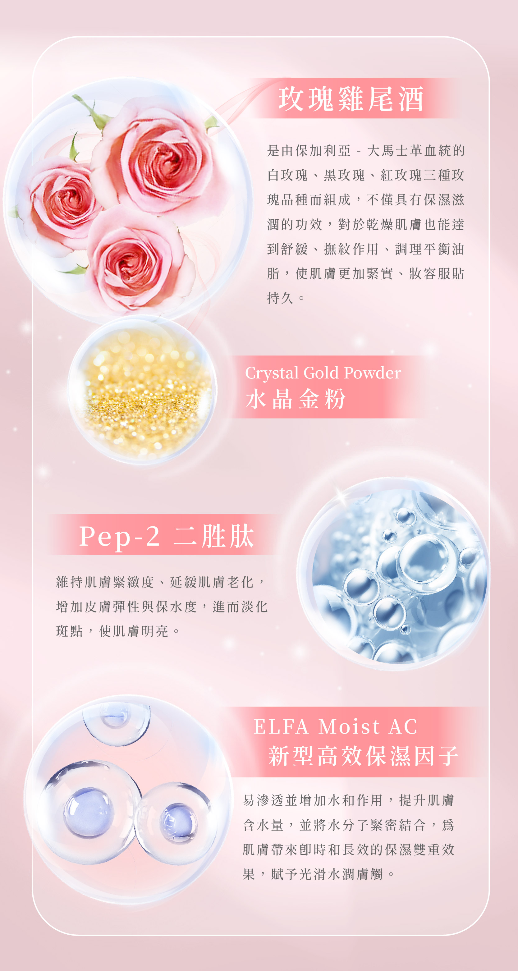 玫瑰凍膜＿三修_4