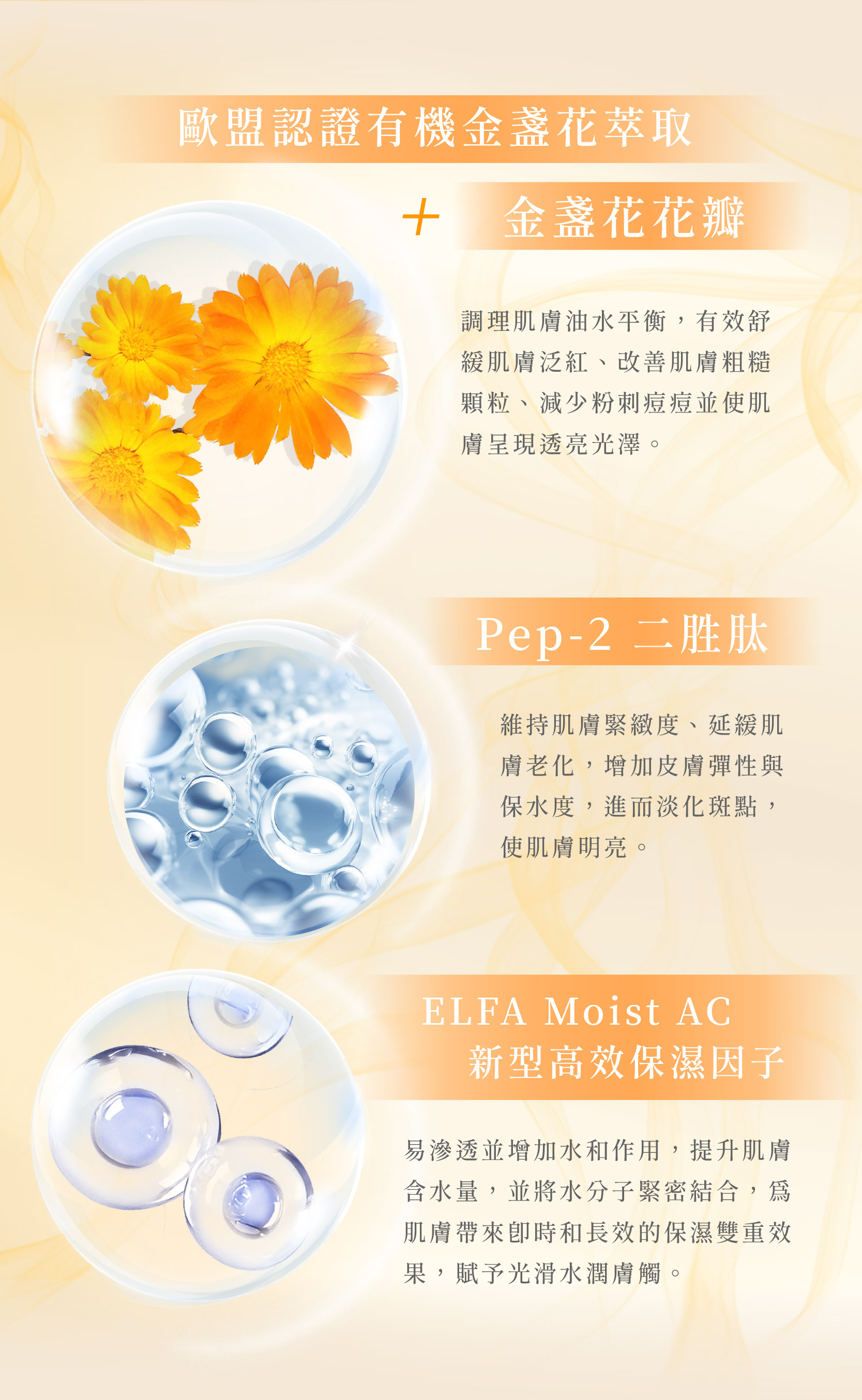 金盞花凍膜_二修_4