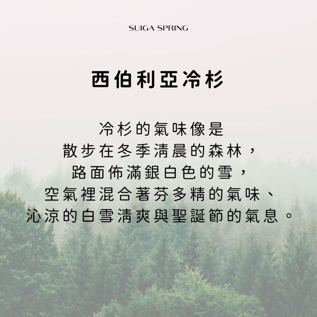 tw-11134207-7ras9-m0o0n8in3vmv1a