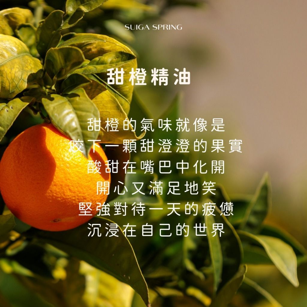 tw-11134207-7rash-m0mt41a7v3rnc6