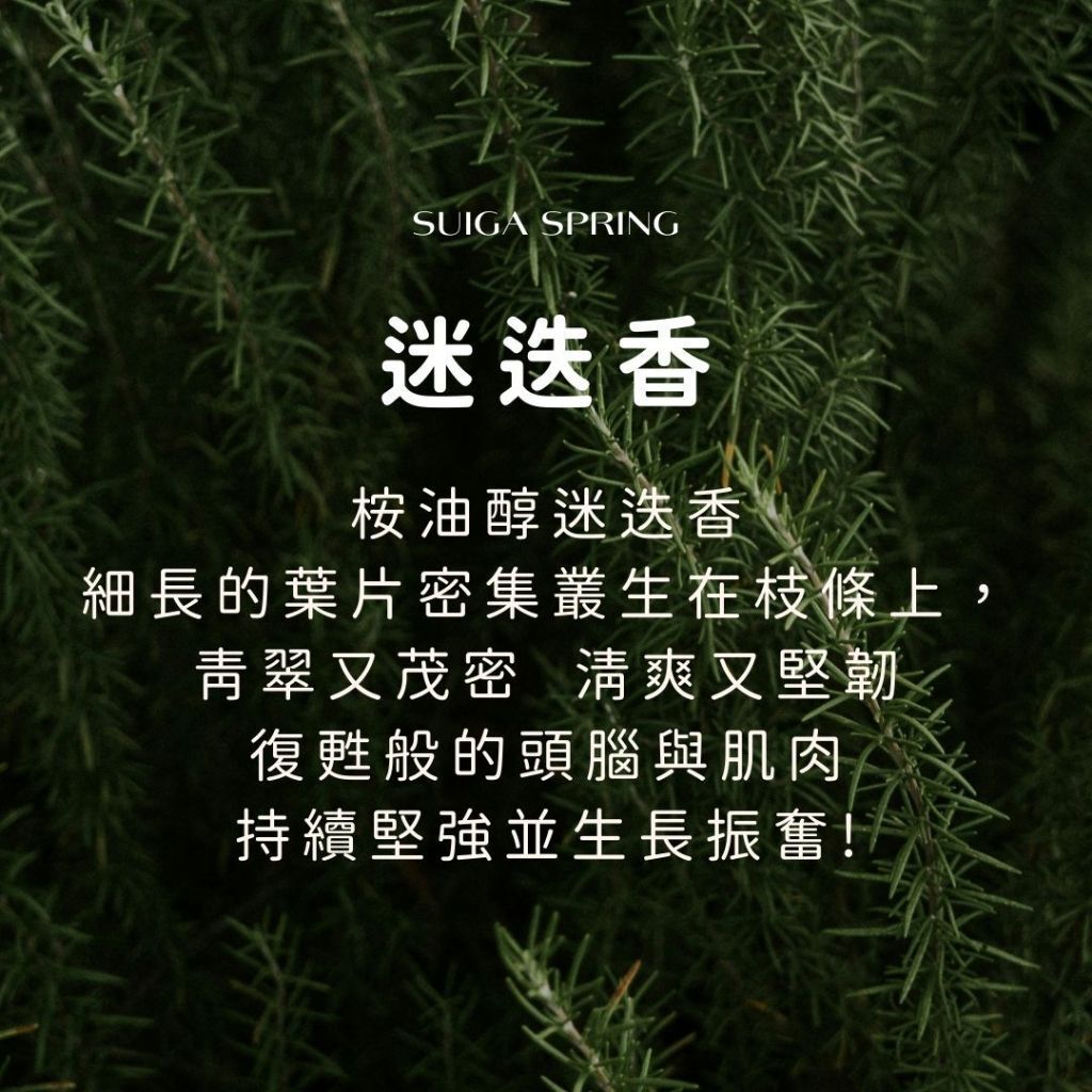 tw-11134207-7rasi-m0tz5j5kccsz0e