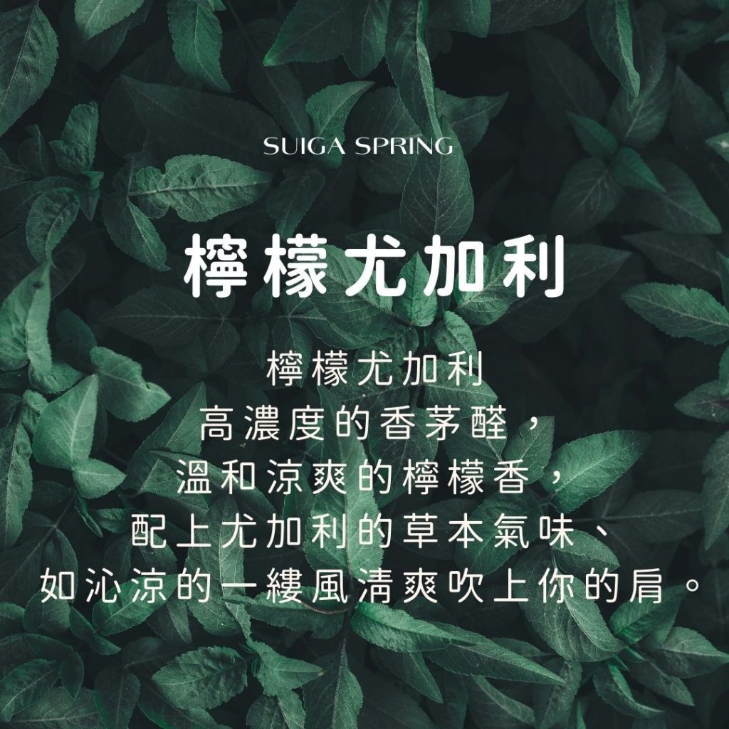 tw-11134207-7rasf-m0tz5j7rtnmb52