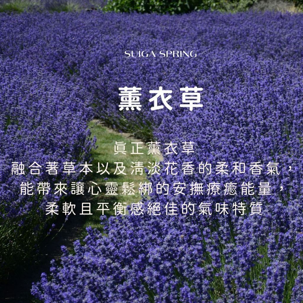 tw-11134207-7rasf-m0tz5j5jww6f39