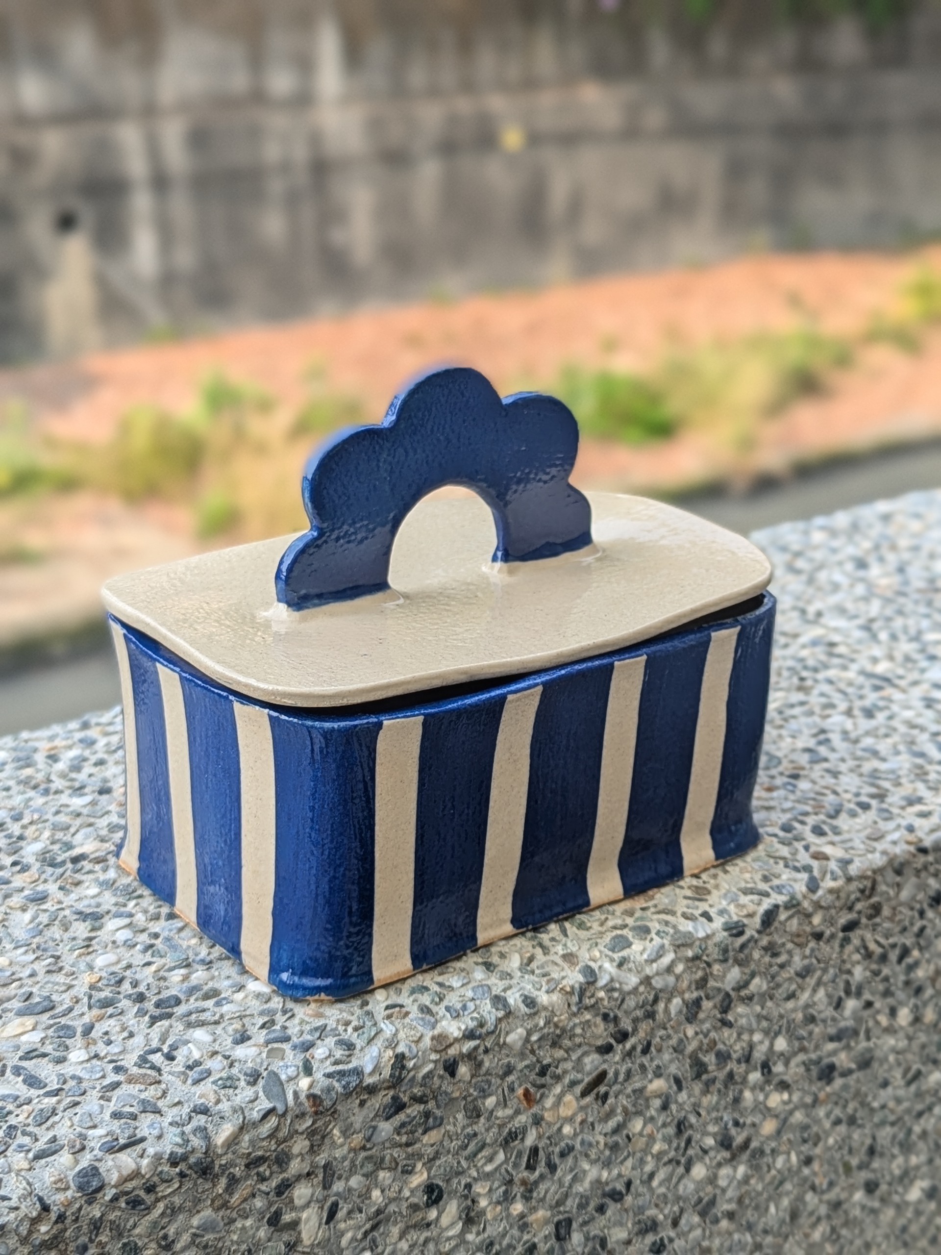 PXL_20250122_060716335.PORTRAIT