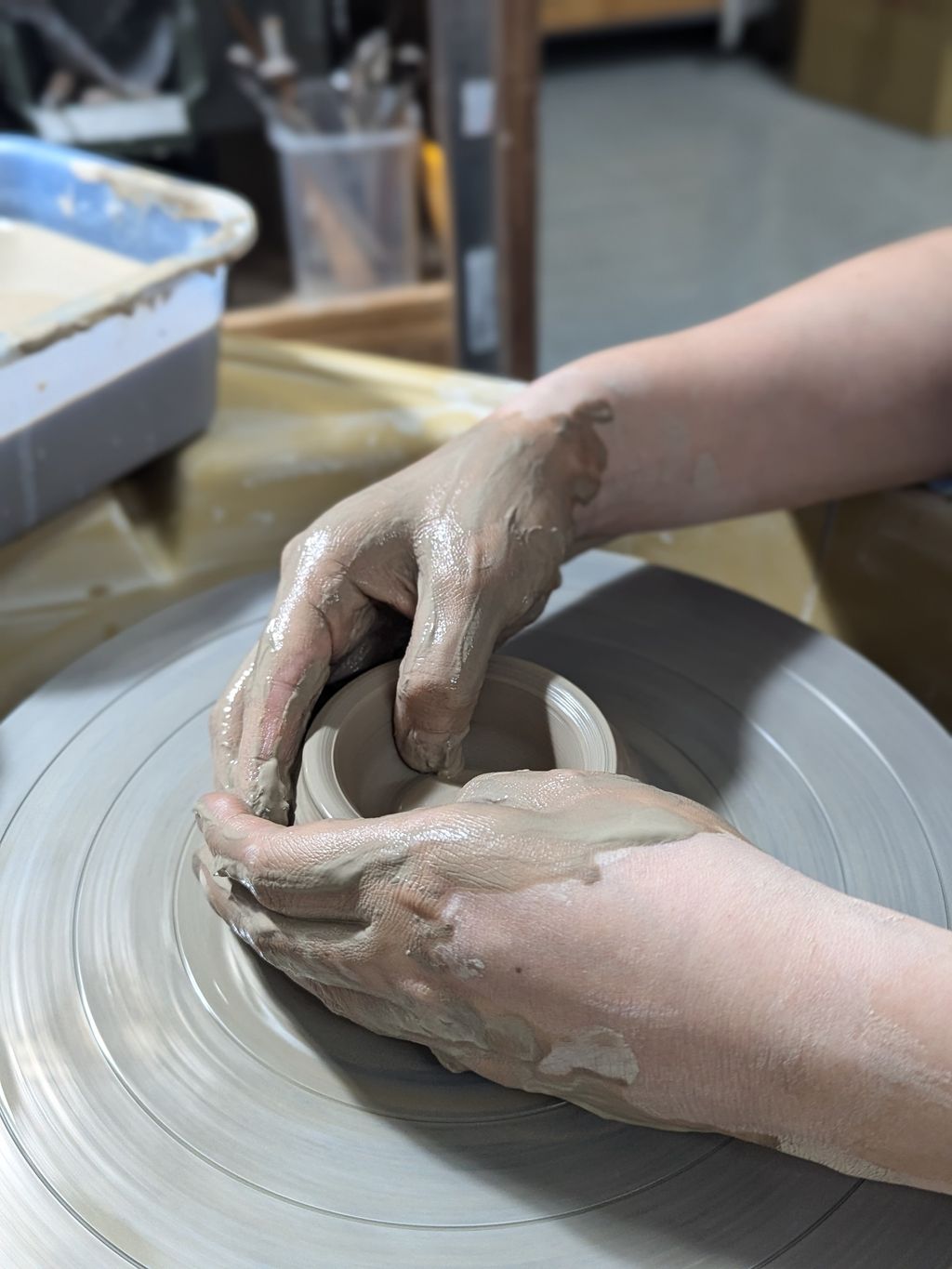 PXL_20240812_123320321.PORTRAIT