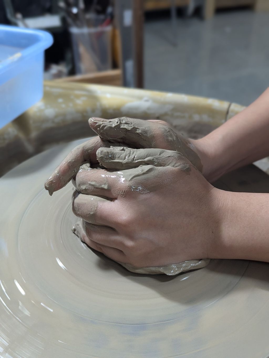 PXL_20240726_111040472.PORTRAIT