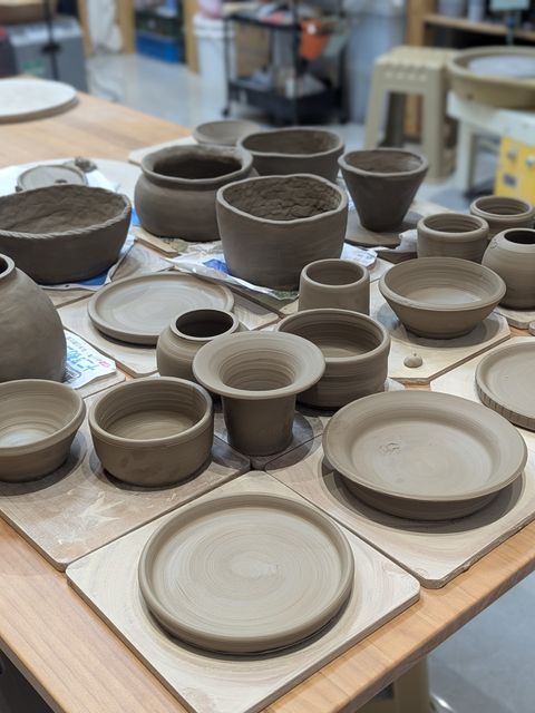 PXL_20250627_085633468.PORTRAIT