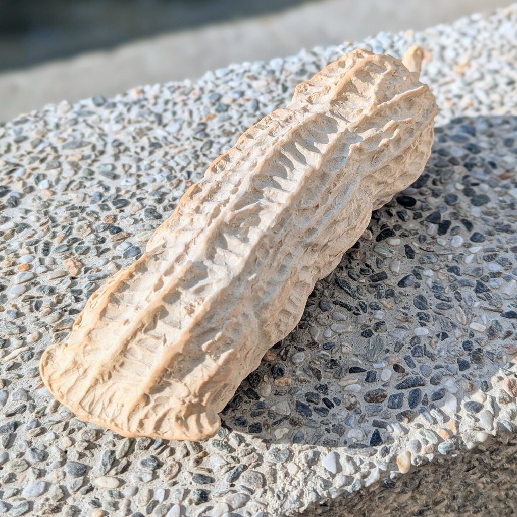 PXL_20241128_071223600.PORTRAIT~3