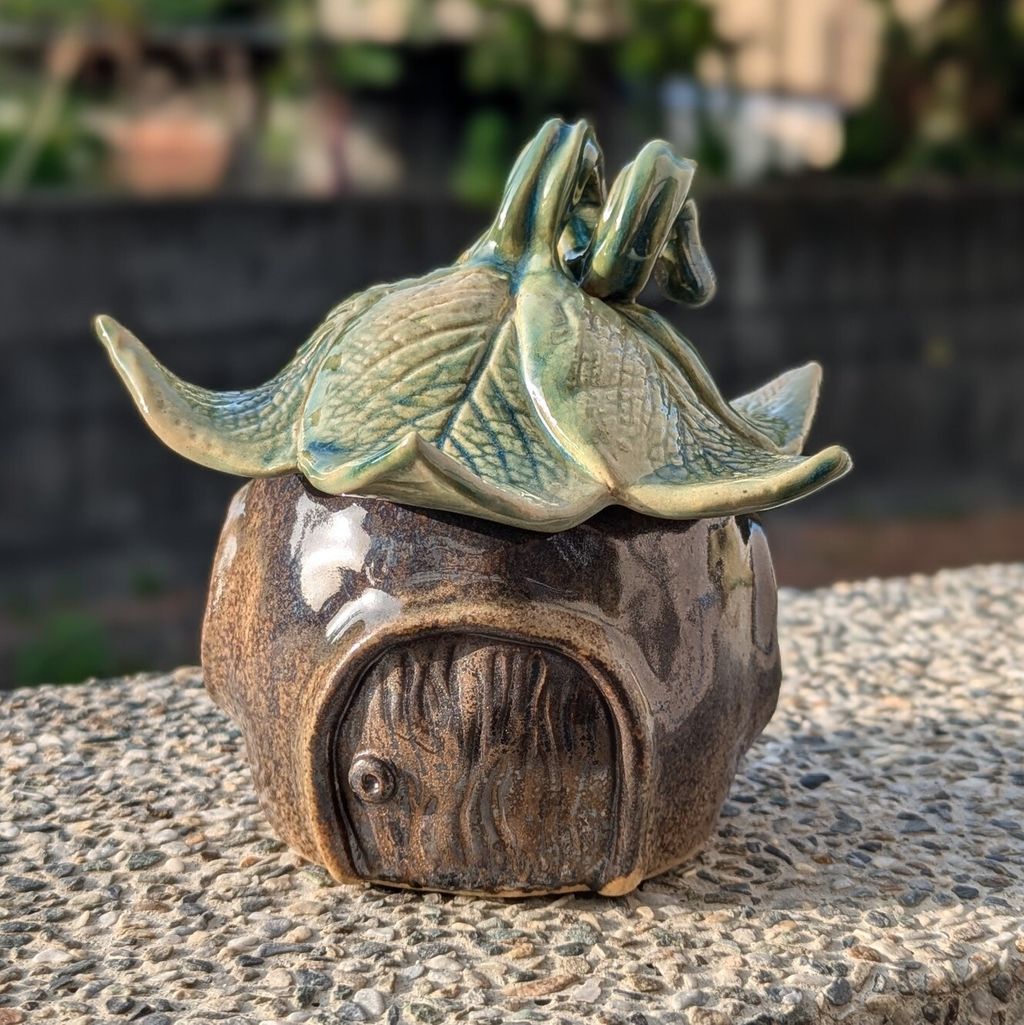 PXL_20241121_074625417.PORTRAIT~2