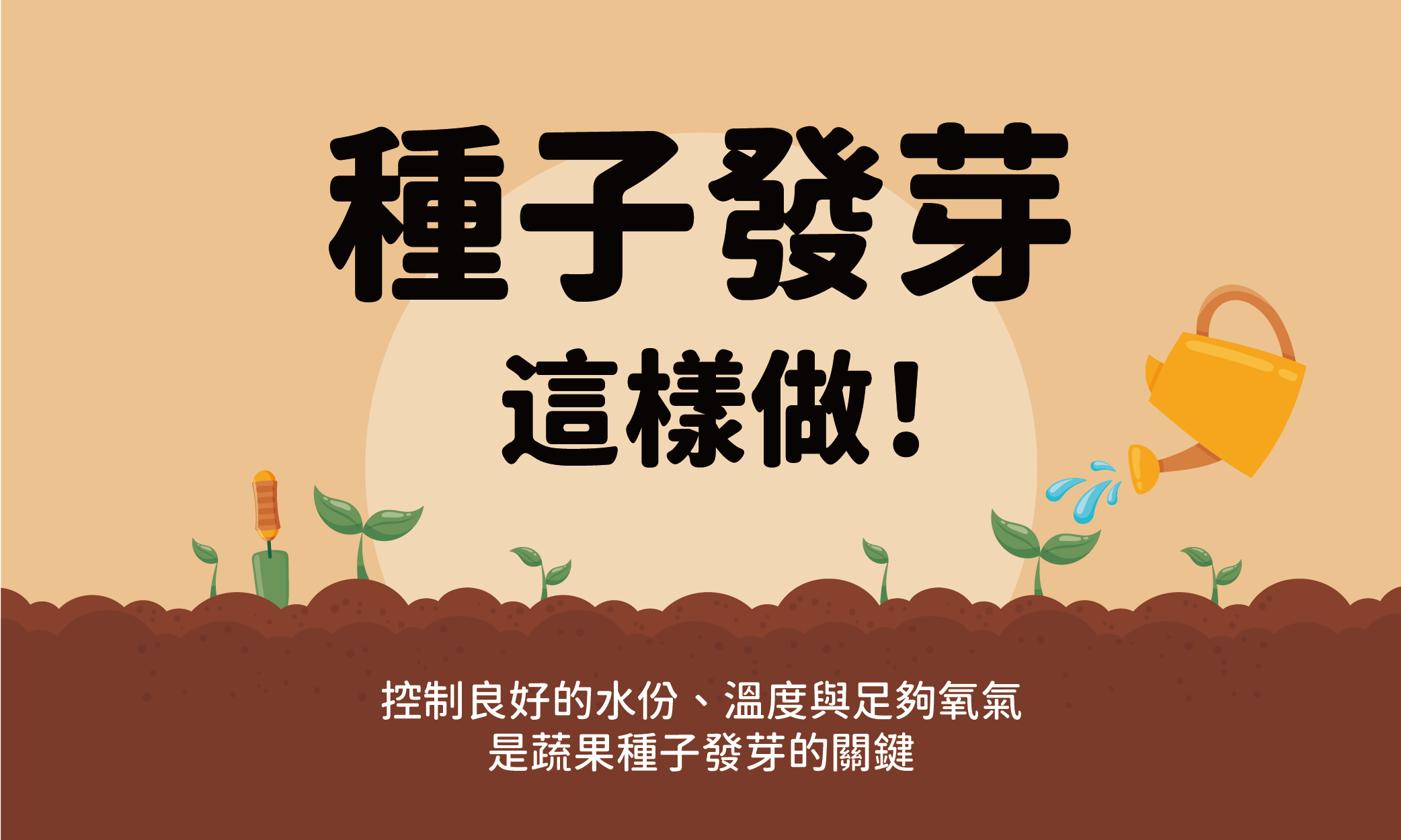 官網-知識庫(E)_種子發芽