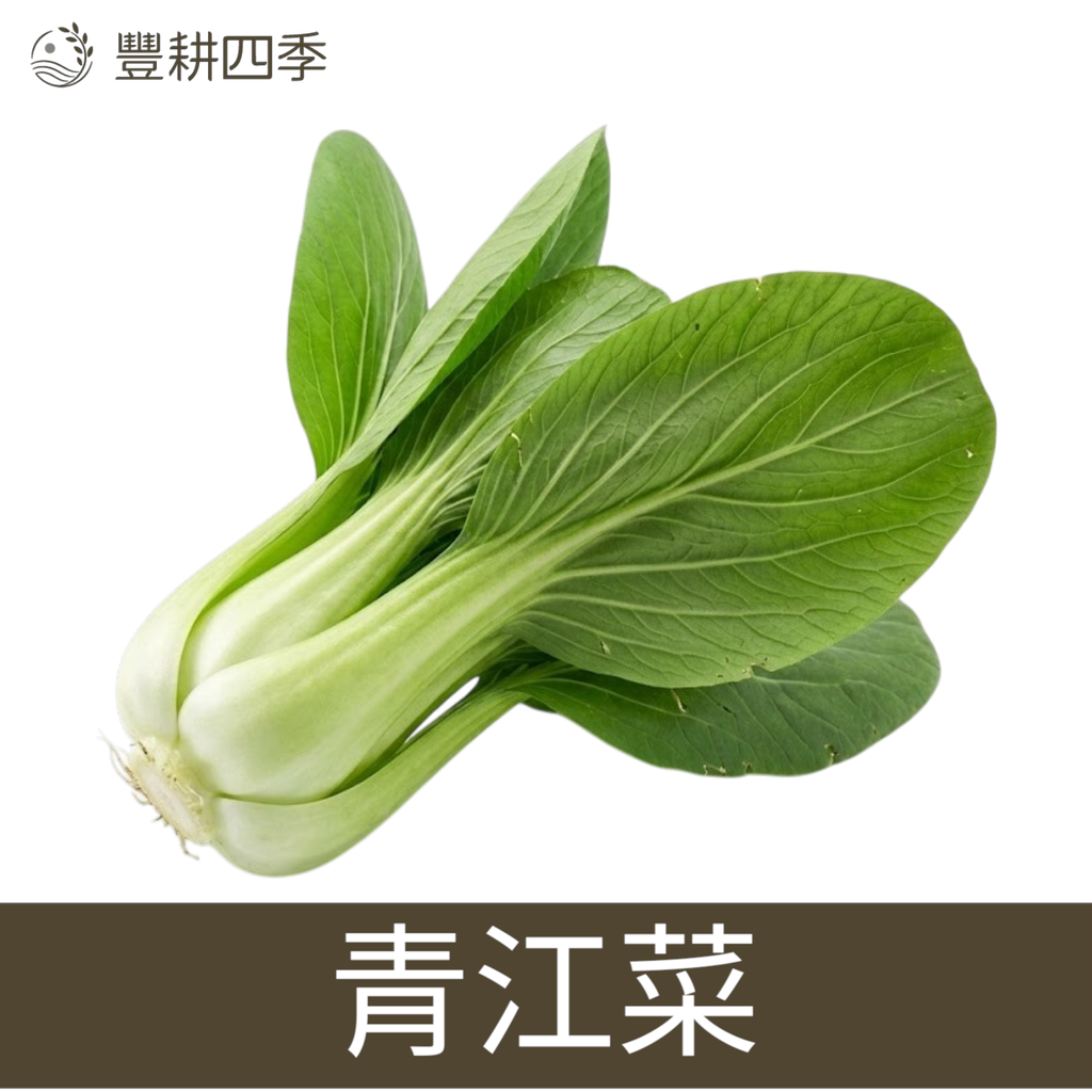 青江菜