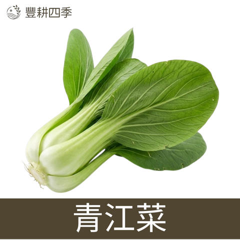 青江菜