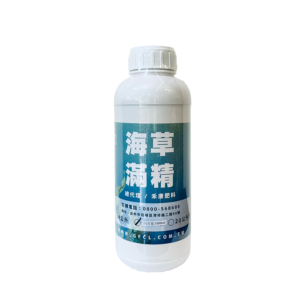 海草滿精