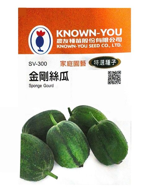 金剛絲瓜-Photoroom