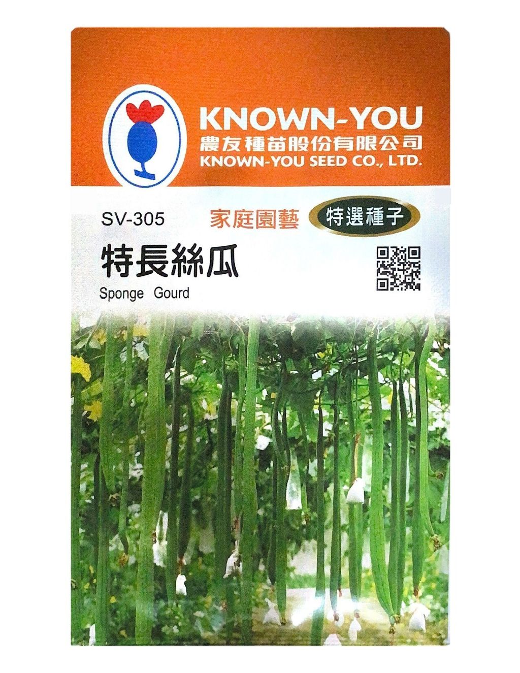 特長絲瓜-Photoroom