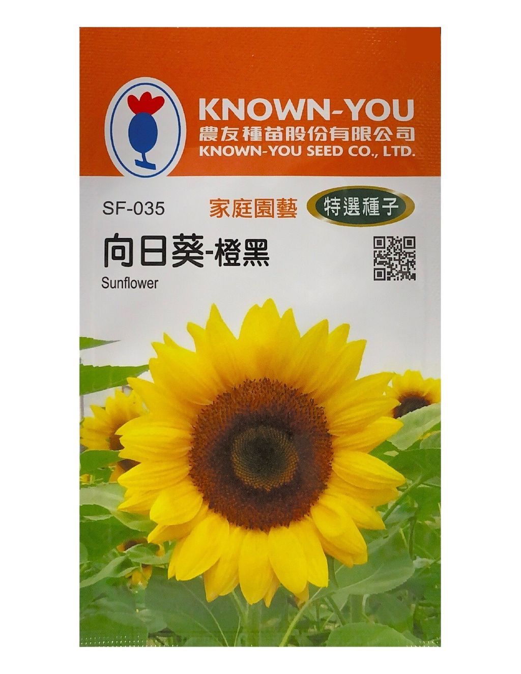 向日葵-橙黑-Photoroom