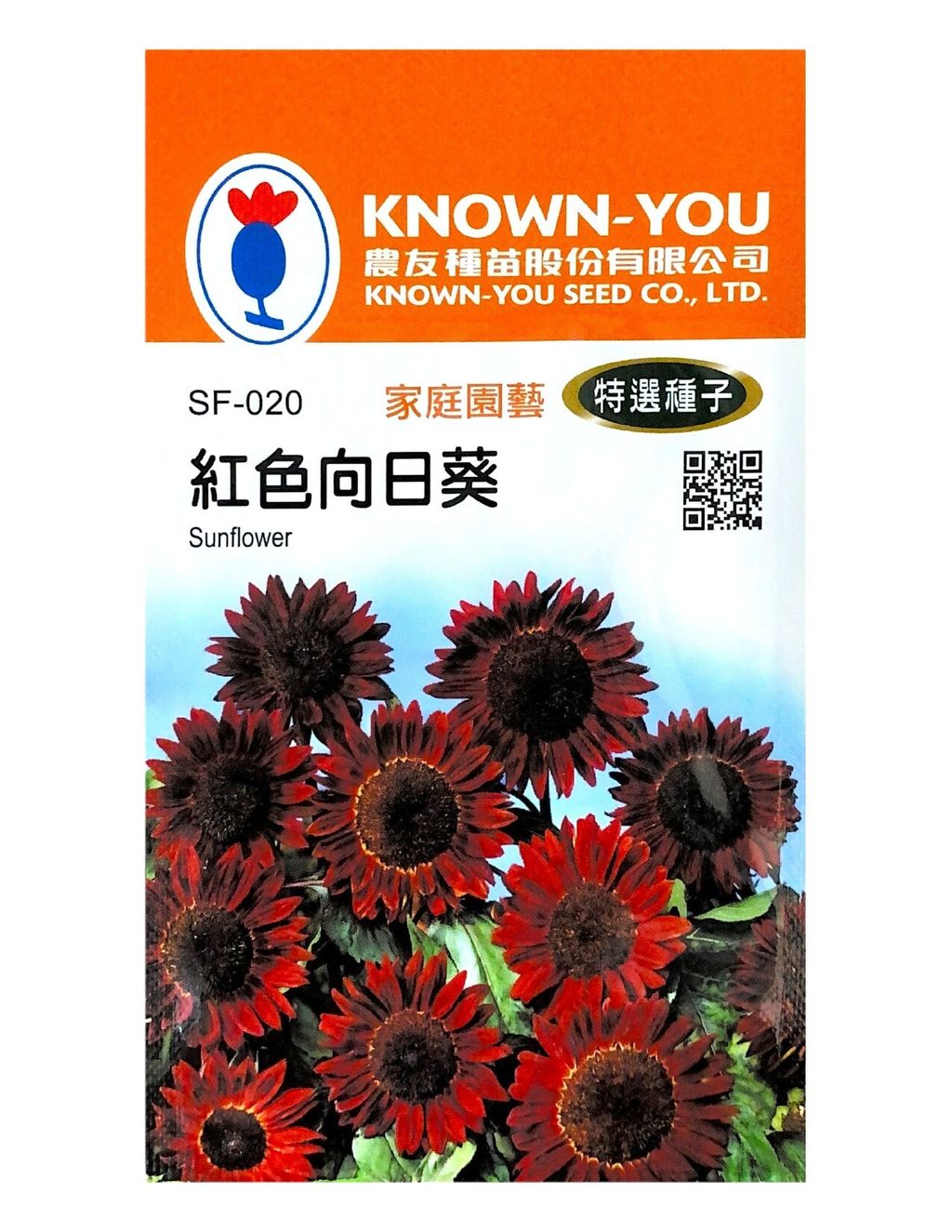 紅色向日葵-Photoroom (1)