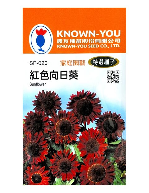 紅色向日葵-Photoroom (1)