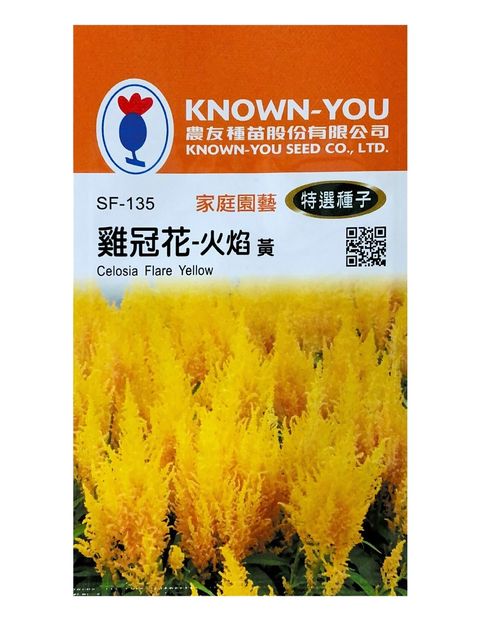 雞冠花-黃-Photoroom