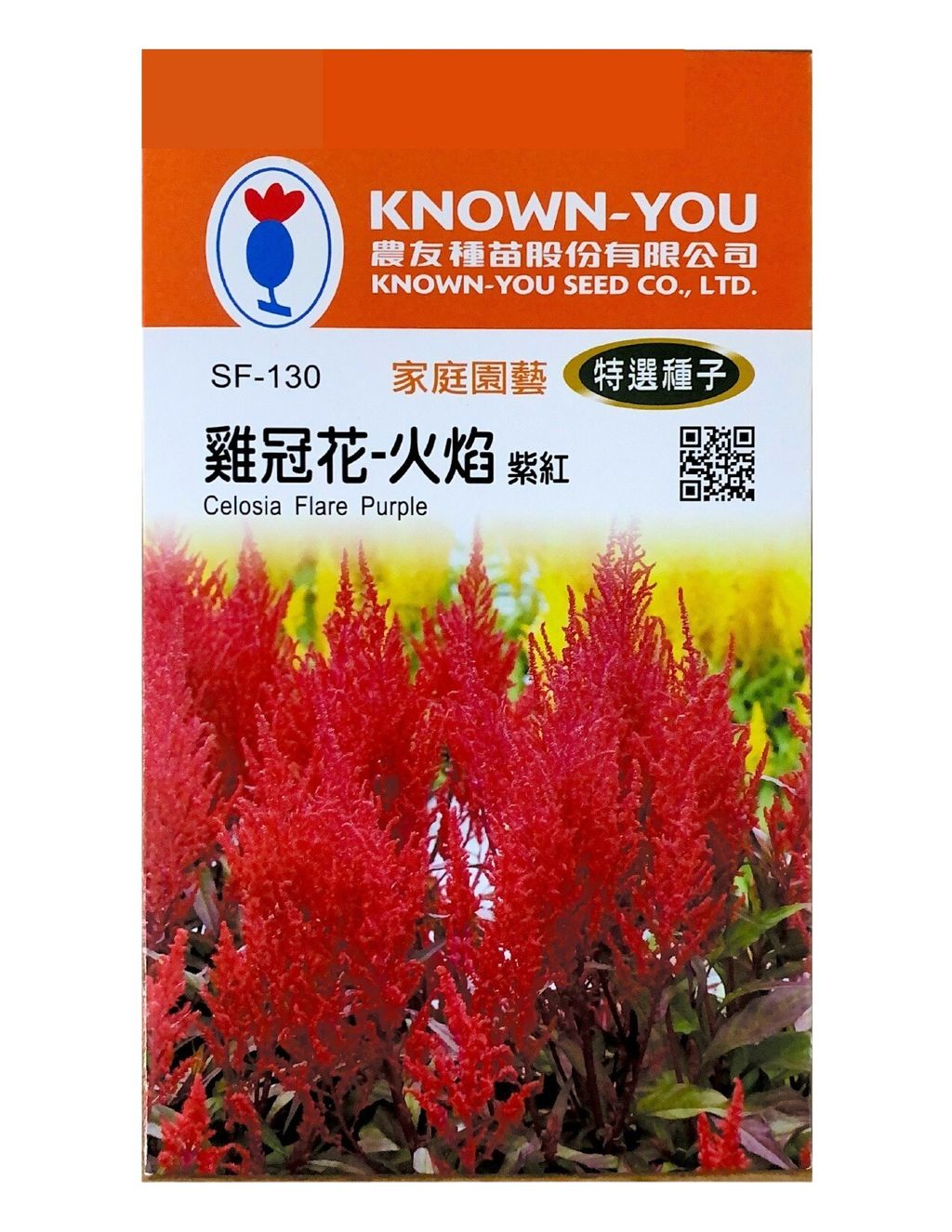 雞冠花-火焰-Photoroom