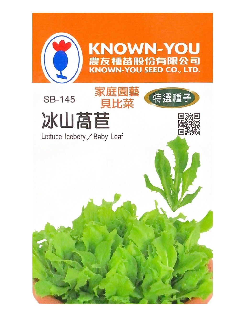 冰山萵苣-Photoroom