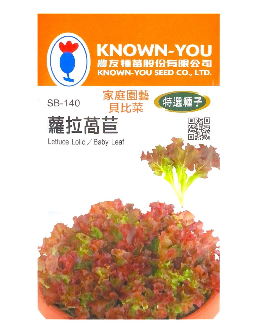 蘿拉萵苣-Photoroom