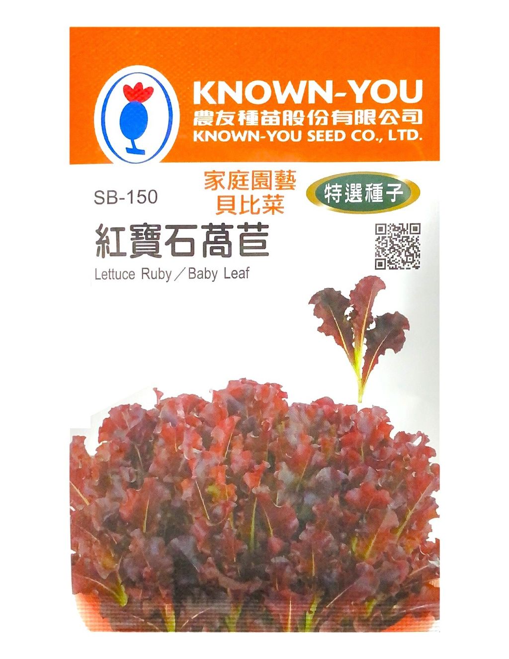 紅寶石萵苣-Photoroom (1)