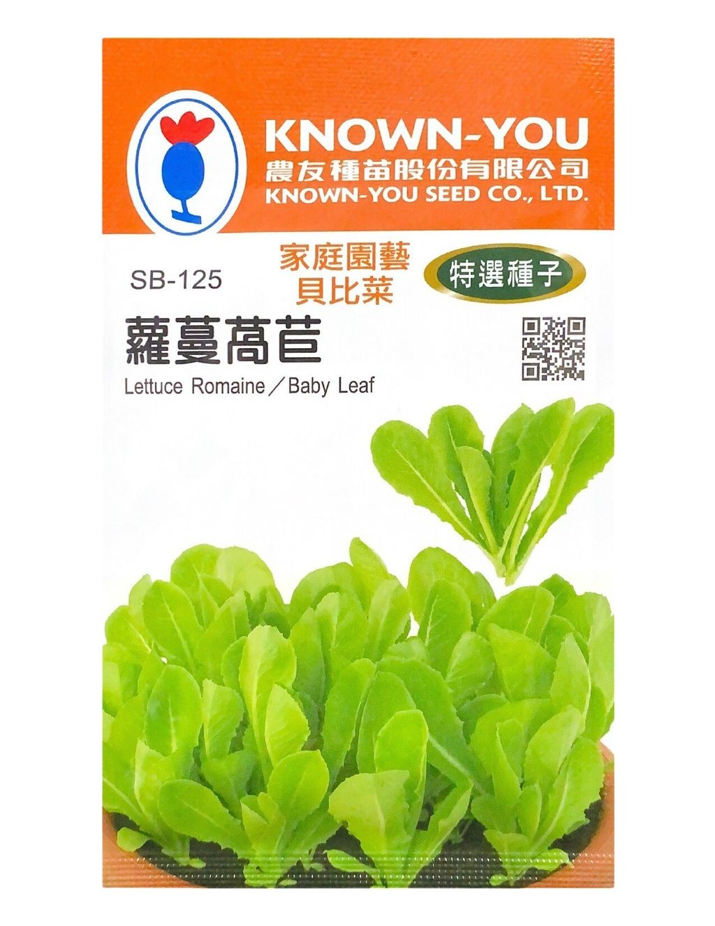 羅曼萵苣-Photoroom