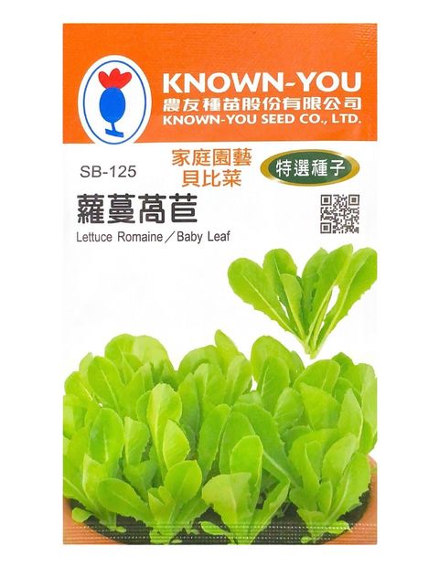 羅曼萵苣-Photoroom