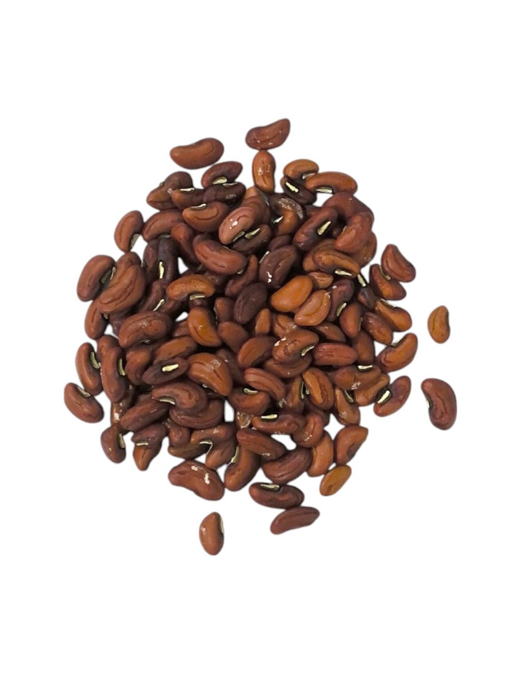 紫長豆_page-0001-Photoroom