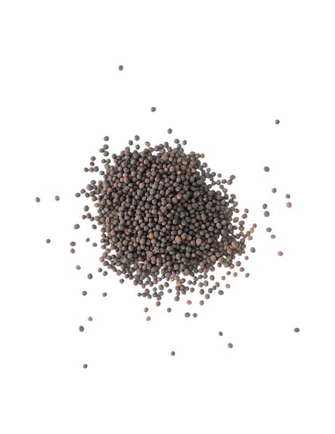 小芥菜2-Photoroom