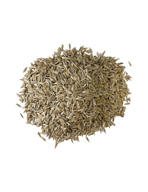 大陸妹2-Photoroom