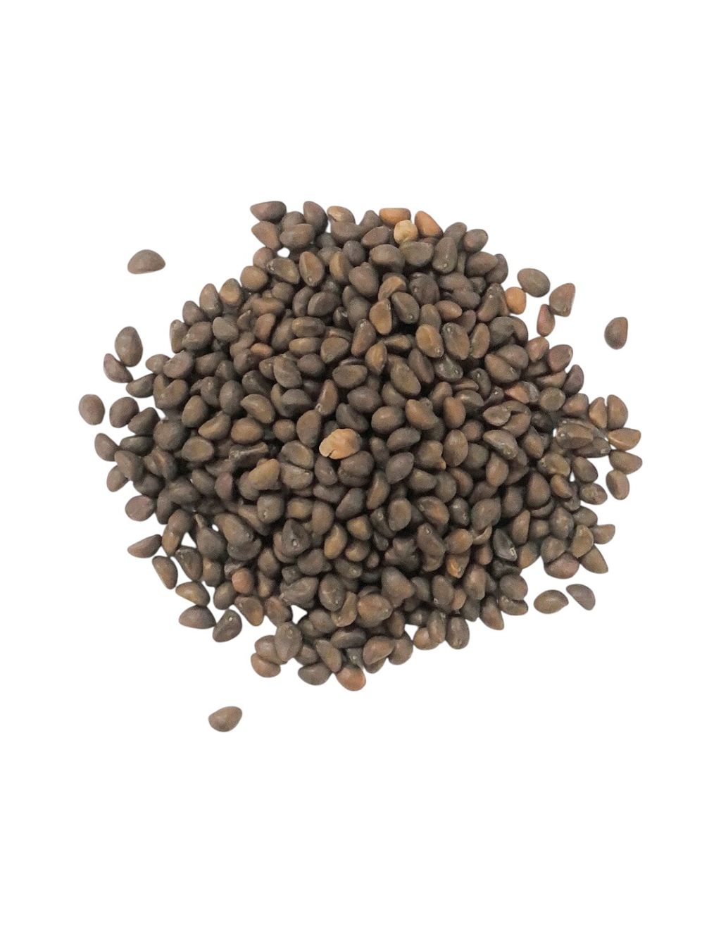 空心菜2-Photoroom